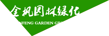 東莞市飛揚(yáng)包裝機(jī)械設(shè)備有限公司
